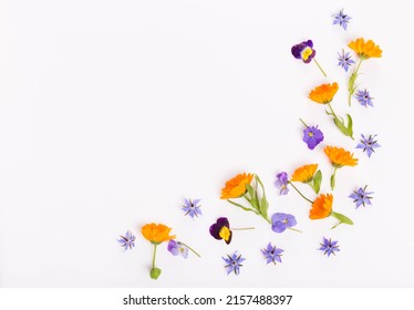 Purple, Blue, Orange Edible Flowers: Viola, Calendula And Borage On White Background.