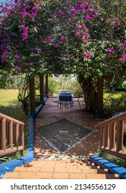 90 imágenes de Bougainvillea canopy - Imágenes, fotos y vectores de stock |  Shutterstock