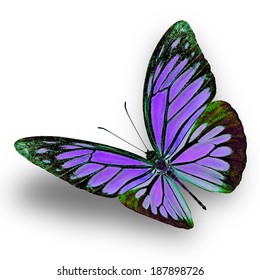 Purple Butterfly Flying Isolated On White Stock Photo 187898726 ...