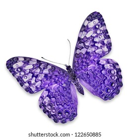 Purple Butterfly Isolated On White Background