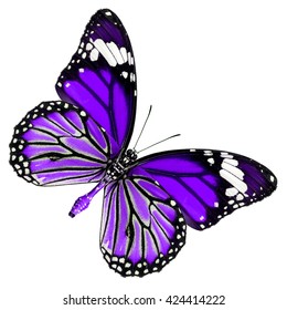 Purple Butterfly Lower Wing Profile Isolated Stock Photo 424414222 ...