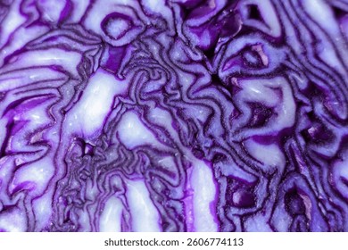 Purple cabbage close up macro shot. Vegetarian food background. - Powered by Shutterstock - Get 15% off with code: PIKWIZARD15