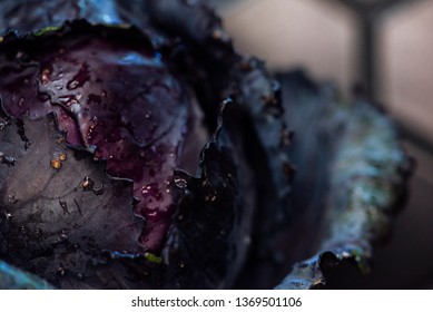 Purple Cabbage Macro With Water Droplets, Freshly Washed Head Of Dark Purple Cabbage, Black Hexagon Tile Backsplash Background