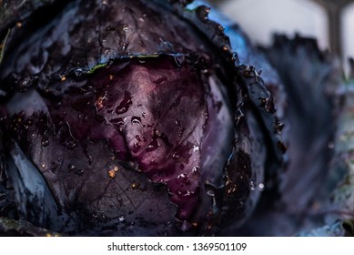 Purple Cabbage Macro With Water Droplets, Freshly Washed Head Of Dark Purple Cabbage, Black Hexagon Tile Backsplash Background