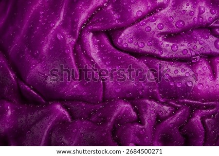 Purple cabbage texture background. Macro image of water drops on purple surface. Macro photo.