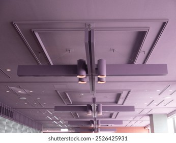 A purple ceiling with a repeating pattern and beautiful coffered detailing