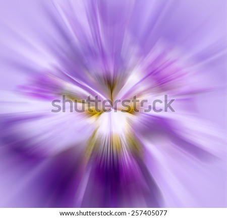 Similar – Crocus Closeup 1 Flower