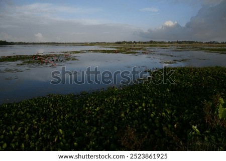 Similar – Nach der Sturmflut Nordsee