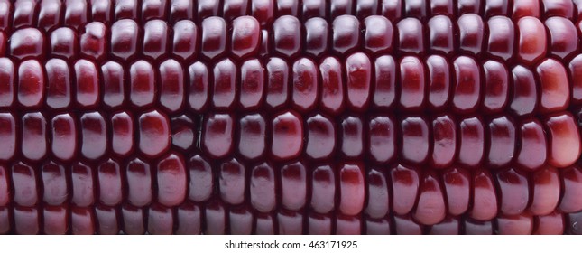 Purple Corn Background