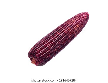 Red Corn Seed Images Stock Photos Vectors Shutterstock