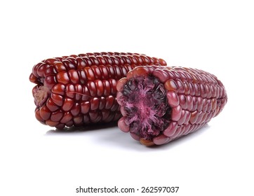  Purple Corn Isolated On White Background