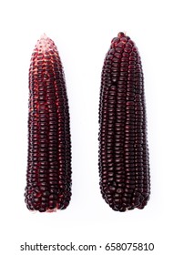 Purple Corn Isolated On A White Background