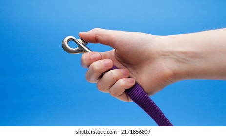 Purple Dog Leash In Hand Closed Metal Clip