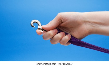 Purple Dog Leash In Hand Open Metal Clip