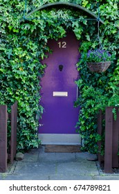 Purple Door