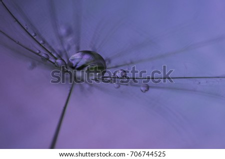 #A# Lavender flight Art