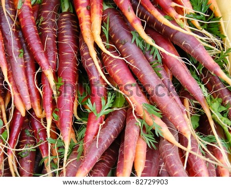 Similar – Image, Stock Photo Rrroda Rrreddich Food