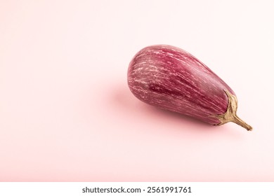 Purple eggplant with white stripes on pink pastel background. Side view, copy space. Tropical, healthy food, vegetable, minimalism. - Powered by Shutterstock