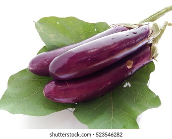 Purple Eggplants On Their Leaf With White Background. An Organic Plant Had Worm Hole.