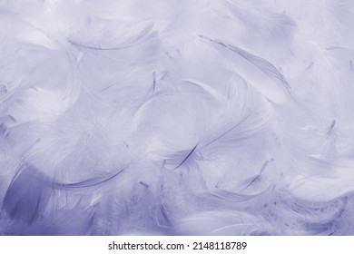 114 Purple And Teal Bird Photo Images, Stock Photos & Vectors ...