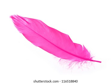 Purple Feather Isolated On White