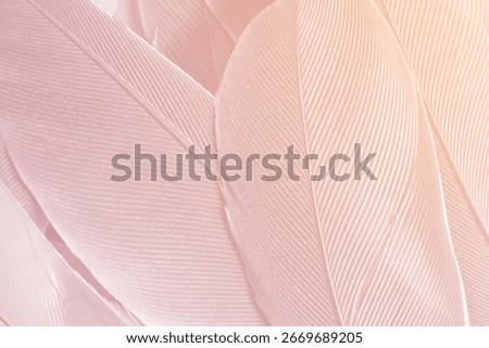 purple feather pattern texture background , pastel color style