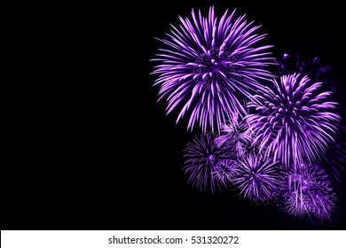  Purple Fireworks