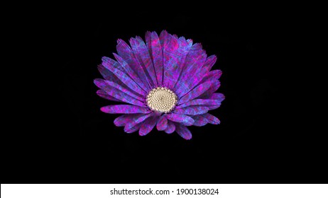 Single Blue Flower Images Stock Photos Vectors Shutterstock