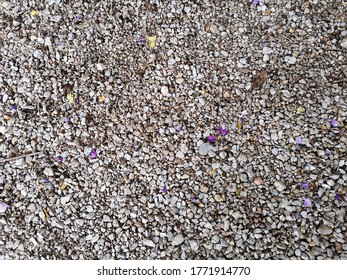 Purple Flower Petals Falling On A Pebble As Background Texture