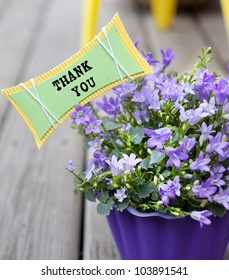 purple flower pot with flowers and a thank you note