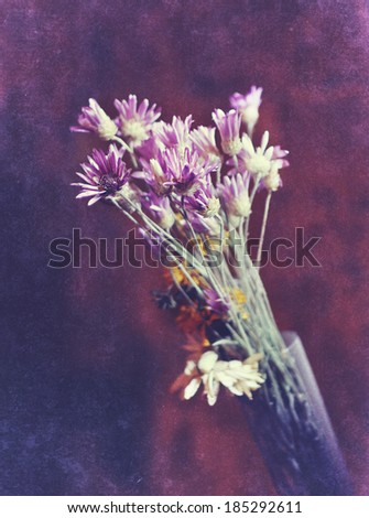 Similar – Blumen Polaroid