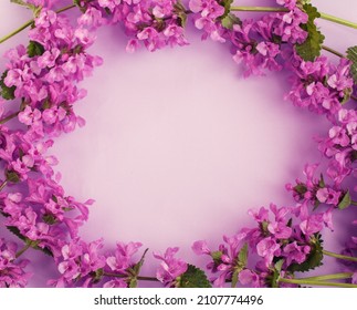 Purple Flowers Frame. Postcard With Flowering Plants. Spring Or Summer Romantic Composition. Free Space For Text.