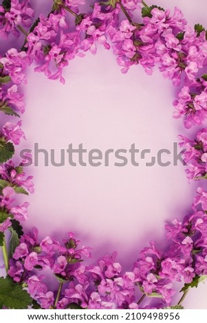 Purple flowers frame. Postcard with flowering plants. Spring or summer romantic composition. Free space for text.