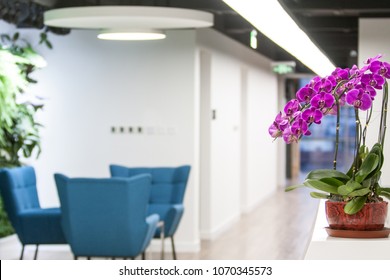 Reception Desk Flowers Images Stock Photos Vectors Shutterstock