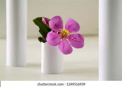 Purple Flowers On The Pillar Among Other White Pillars