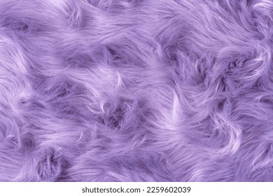 Purple fur texture top view. Purple or lilac sheepskin background. Fur pattern. Texture of lilac shaggy fur. Wool texture. Sheep fur close up