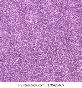 Purple Glitter Background