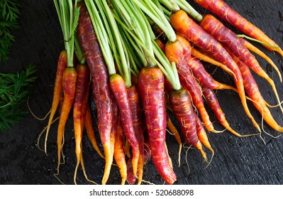 Purple Haze Carrots