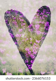 Purple heather flowers with a steamed up window effect forming a heart shape