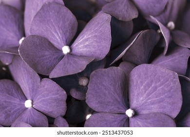 Purple hydrangea background, flower macro shot - Powered by Shutterstock