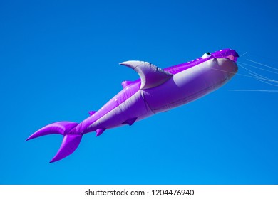 A purple inflatable whale kite being flown at a kite festival at Lincoln City, Oregon.