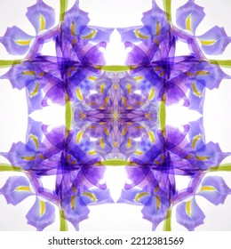 Purple Iris Abstract Stock Image.