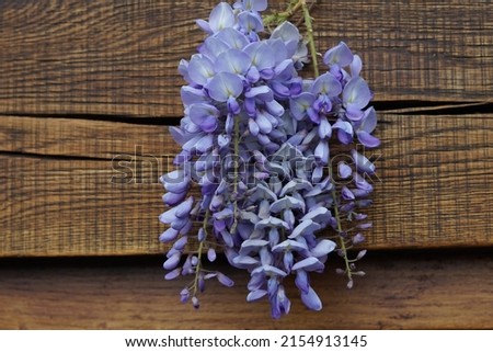 Purple laburnum flowers with a wooden background