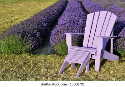 purple lawn chair in lavender field