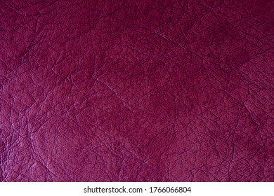 Purple Leather Texture. Purple Pleated Leather For Text And Design.