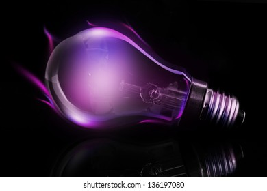 Purple Light Bulb In The Dark