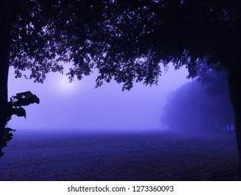 Purple Mist Is  A Dreamscape Mood