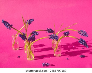 Purple muscari or grape hyacinth flowers in glass bottle on pink background. Creative bouquet of purple  flowers on pink. Minimalist spring purple flower. Floral muscari layout. Pink aesthetic.  - Powered by Shutterstock