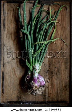 Similar – Image, Stock Photo bunch of fresh young garlic