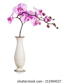 Orchids Vase Images Stock Photos Vectors Shutterstock